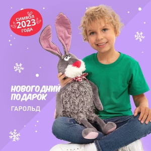 Сладкий новогодний подарок «Гарольд»