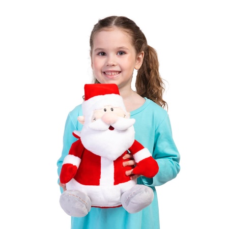 Подарок «Дед Мороз» 300г Премиум ПТЗ-39мп